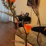 My Apartment *