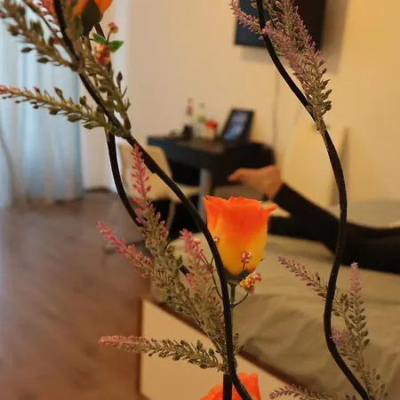 My * Budapeşte