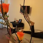 Apartamento My *